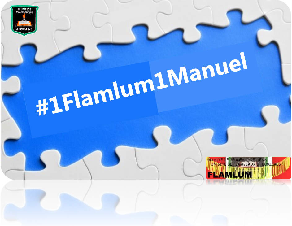 #1Flamlum1manuel